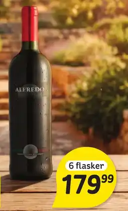 Fakta Tyskland Alfredo tilbud