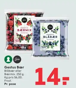SPAR Gestus Bær tilbud