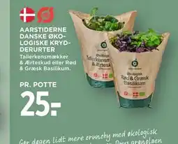 MENY AARSTIDERNE DANSKE ØKOLOGISKE KRYDDERURTER tilbud