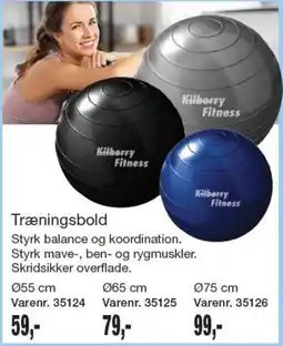 Harald Nyborg Kilberry Fitness Træningsbold tilbud