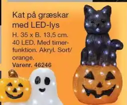 Harald Nyborg Kat Pa Graeskar Med LED-Lys tilbud