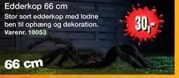 Harald Nyborg Edderkop 66 cm tilbud