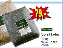 Harald Nyborg Solsikkefrø tilbud