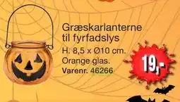 Harald Nyborg Græskarlanterne til fyrfadslys tilbud