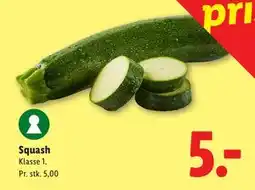 Lidl Squash tilbud