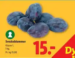 Lidl Sveskeblommer tilbud