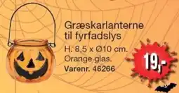 Harald Nyborg Græskarlanterne til fyrfadslys tilbud