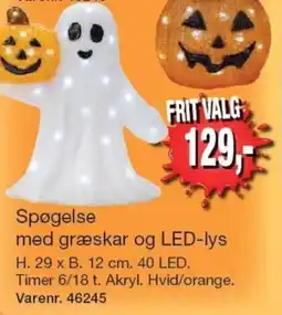 Harald Nyborg Spøgelse med græskar og LED-lys tilbud