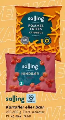 Bilka Salling – pommes frites / hindbær tilbud