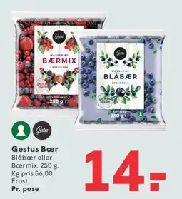 SPAR Gestus Bær tilbud