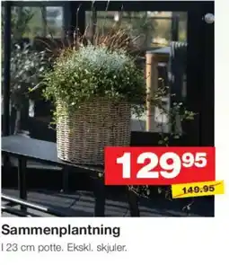 Bauhaus Sammenplantning tilbud