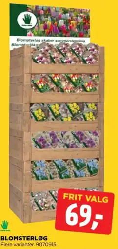 jem & fix Blomsterløg tilbud