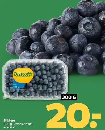 Netto Blåbær 300 g tilbud