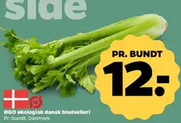 Netto Økologisk dansk bladselleri tilbud