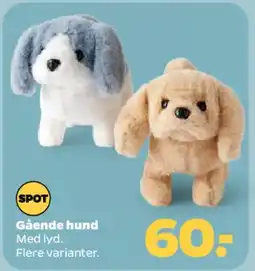 Netto Gående hund tilbud