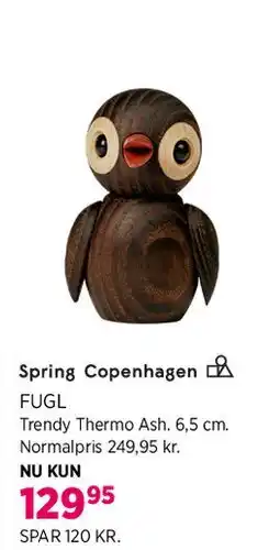 Salling Fugl tilbud
