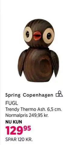Salling Spring Copenhagen FUGL tilbud