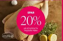 Salling Kylling fra Hopballe Mølle tilbud