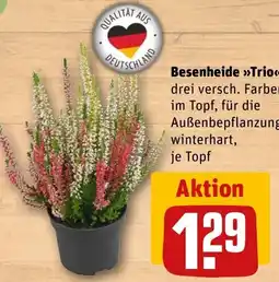 REWE DE Besenheide Trio tilbud