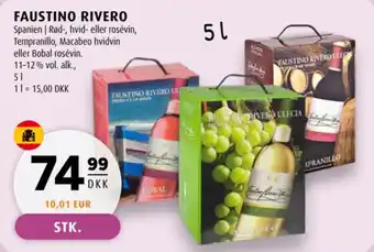 Faustino Rivero