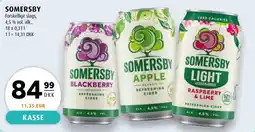 Scandinavian Park Somersby blackberry apple light tilbud