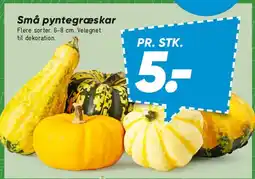 Bilka Små pyntegræskar tilbud