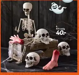 Bilka Decorative skulls and skeleton parts tilbud