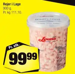 Calle Launis Rejer i Lage tilbud