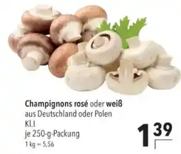 Citti Champignons rosé oder weiß tilbud