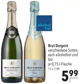 Citti Brut Dargent tilbud