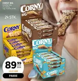 Scandinavian Park CORNY BIG tilbud