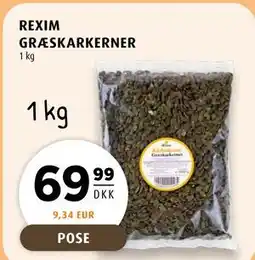 Scandinavian Park REXIM GRÆSKARKERNER tilbud