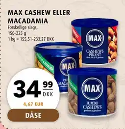 Scandinavian Park MAX CASHEW ELLER MACADAMIA tilbud