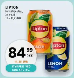 Scandinavian Park LIPTON tilbud
