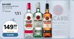 Scandinavian Park BACARDÍ tilbud