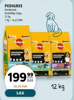 Scandinavian Park PEDIGREE tilbud