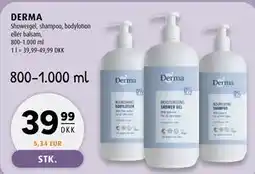 Scandinavian Park DERMA tilbud