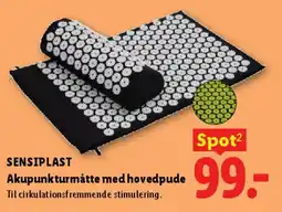 Lidl Akupunkturmåtte med hovedpude tilbud