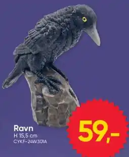 BigDollar Ravn tilbud