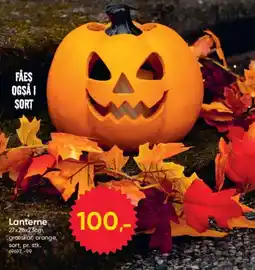 BigDollar Lanterne tilbud