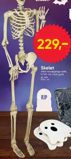 BigDollar Skelet tilbud