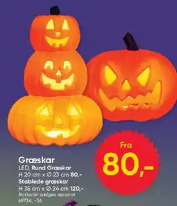 BigDollar Græskar tilbud