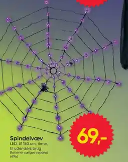 BigDollar Spindelvæv tilbud