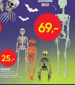 BigDollar Skelet tilbud