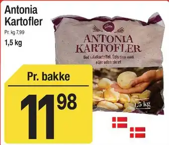 Antonia Kartofler