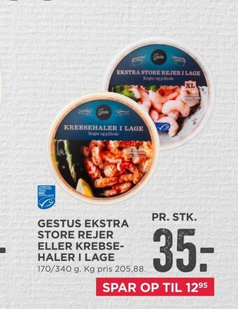 Gestus ekstra store rejer eller krebsehaler i lage