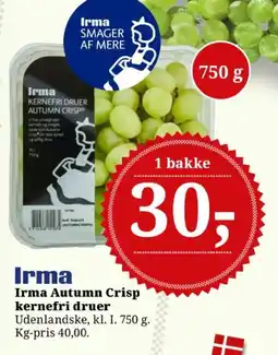 Dagli'Brugsen Irma Autumn Crisp kernefridruer tilbud