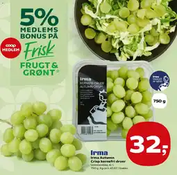 Kvickly Irma Autumn Crisp kernefri druer tilbud