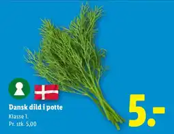 Lidl Dild i potte tilbud