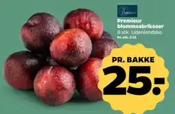 Netto Premieur blommeabrikoser tilbud